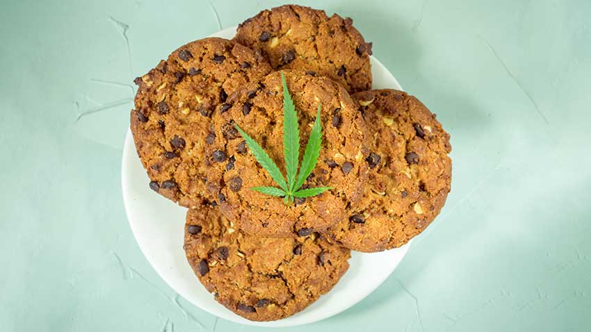 The Truth About Flying With Edibles: Can You Bring Edibles On A Plane?